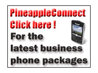 Link to pineappleconnect.com - business mobile phone specialists