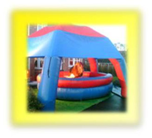 Pineapple Leisure Bouncy Castle Rodeo Bulls