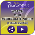 Pineapple Leisure video Pineapple Leisure video