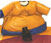 Check out our sumo suits