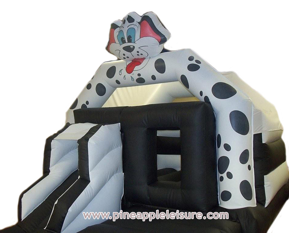BC238 Inflatable - Slide Combi for Sale