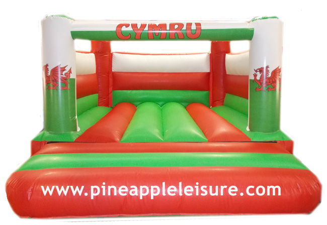 BC324 Inflatable - Corporate for Sale