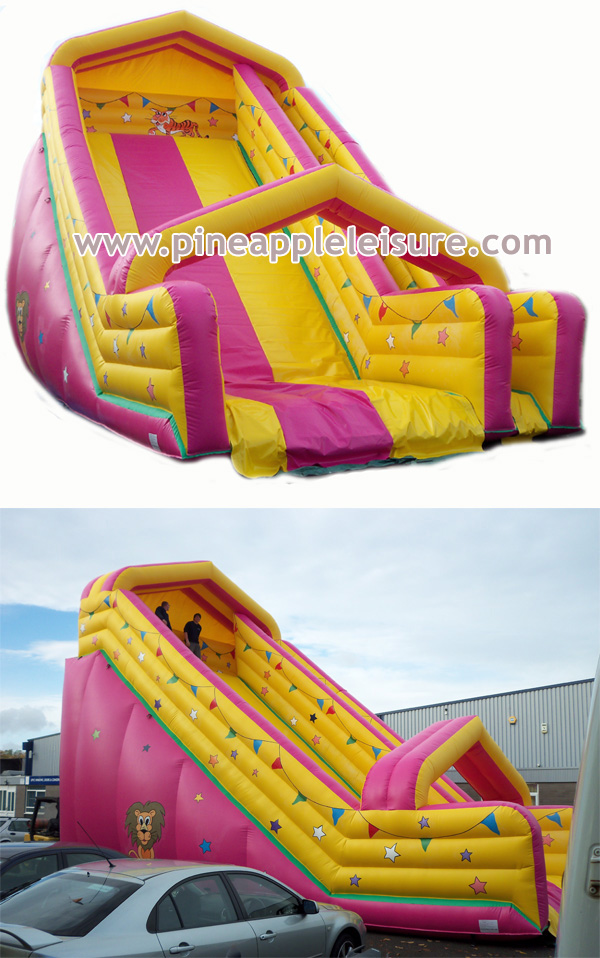 BS19 Inflatable - Inflatable Slide for Sale