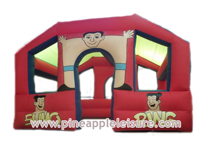 FS08 Inflatable - Games for Sale