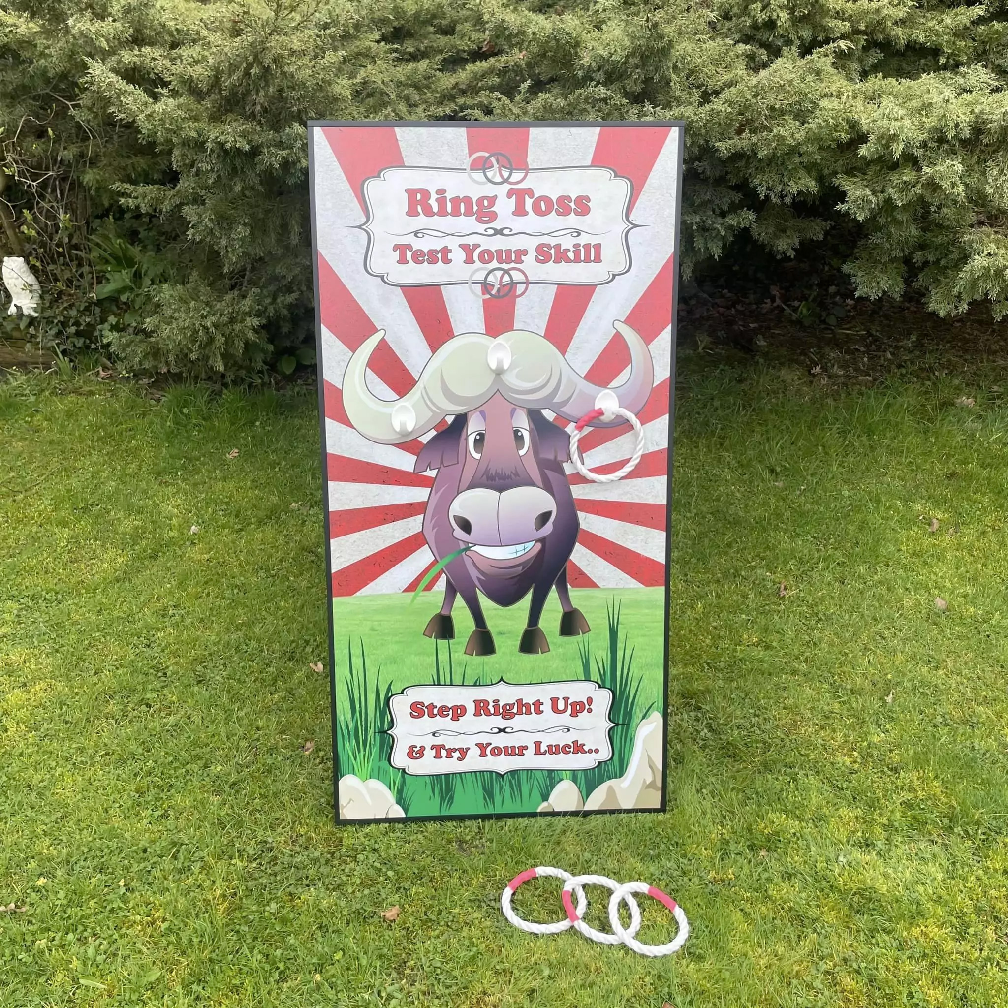 Thumbnail 1 — WD02 Ring Toss - Windy Day Hire for Sale