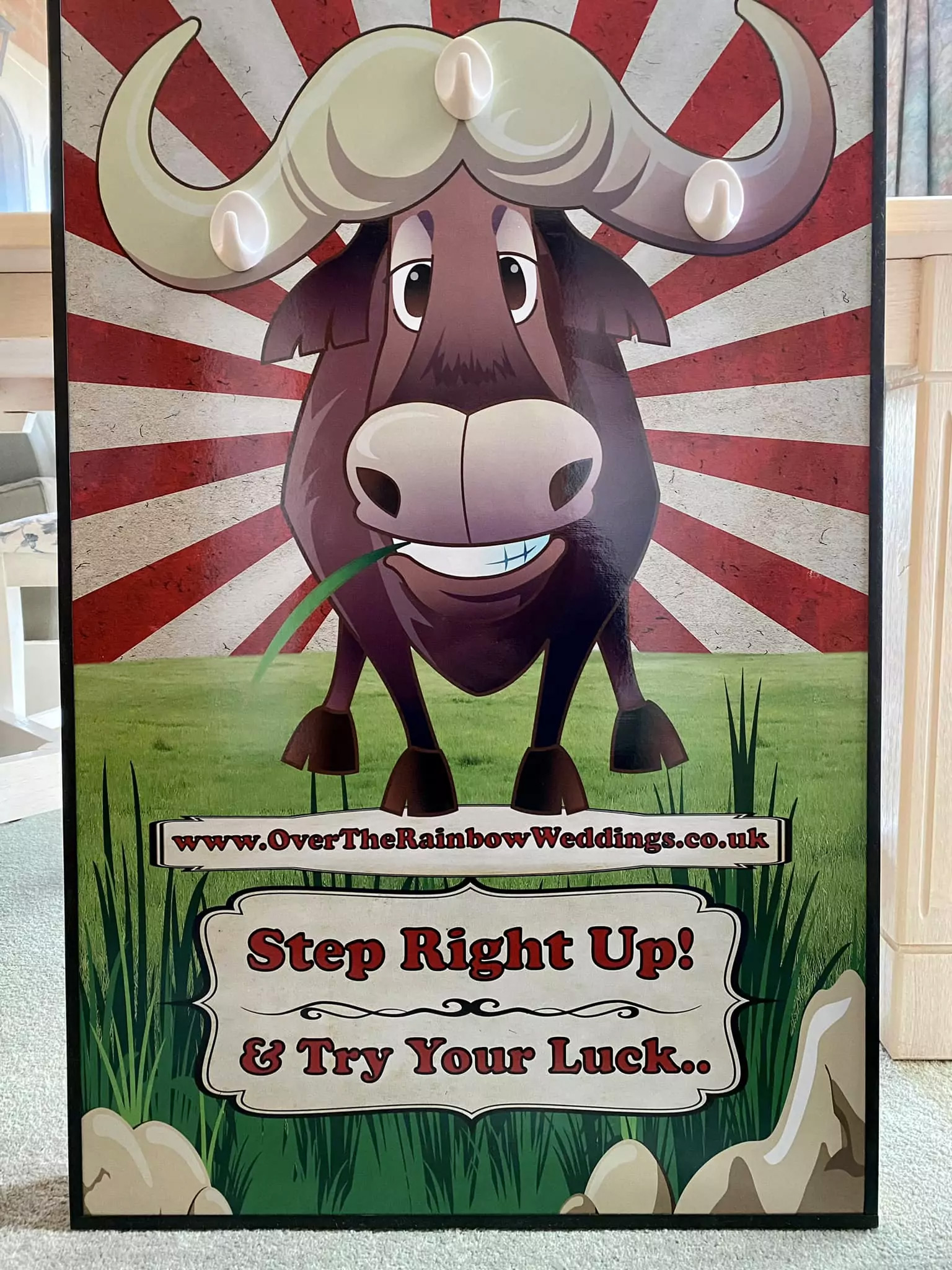 Thumbnail 2 — WD02 Ring Toss - Windy Day Hire for Sale