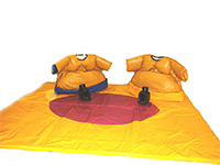 ACC64 Deluxe Commercial Sumo Non-Padded 3x3m Mat larger view
