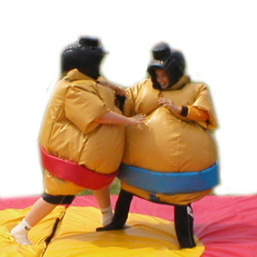 ACC65 Deluxe Commercial 2x Sumo helmets & neck brace larger view