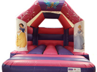 Deluxe Commercial Bouncy Castle