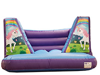 BC445 Deluxe Commercial Bouncy Castle larger view