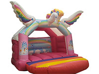 BC464 Deluxe Commercial Inflatable larger view