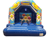 BC511 Deluxe Commercial Inflatable larger view