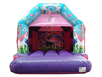 BC528 Deluxe Commercial Inflatable larger view