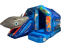 BC693 Deluxe Commercial 3D Shark Slide Combi larger view