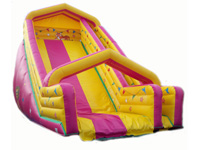 Bouncy Slides